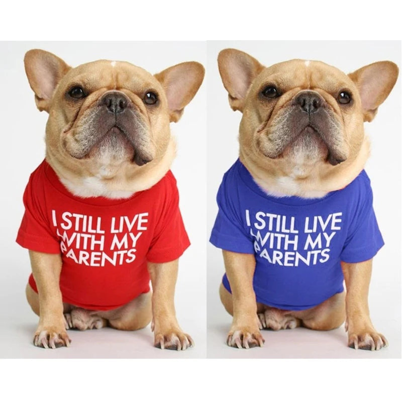 Summer Dog T-Shirt — Letter Print | Small & Medium Dogs