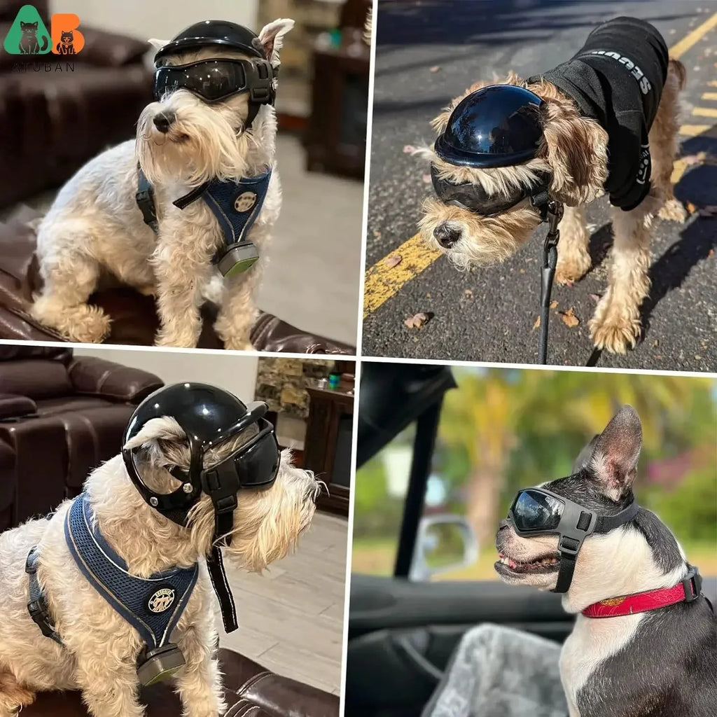 Dog Motorcycle Helmet & Goggles Set – Protective Riding Gear for Small Dogs