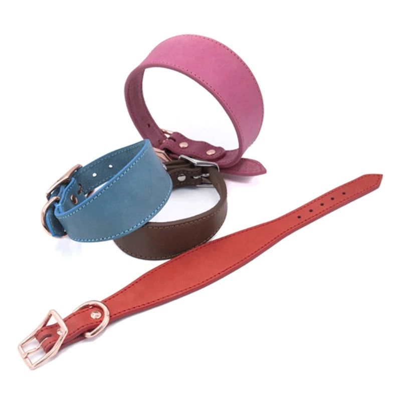 Wide Padded Leather Dog Collar | Comfortable Collar for Greyhounds, Lurchers & Sighthounds