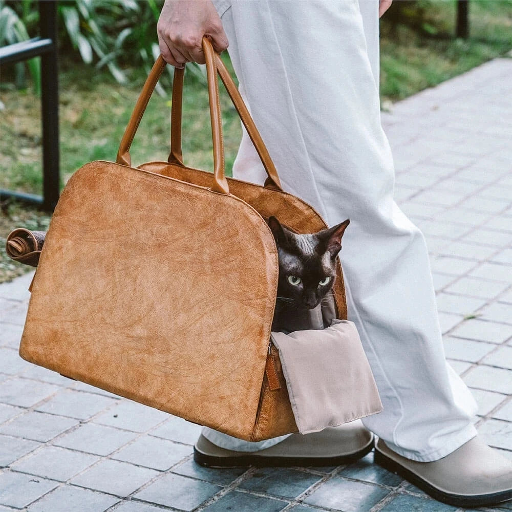 Winter Pet Carrier Bag — Windproof Warm Travel Handbag for Small Dogs & Cats