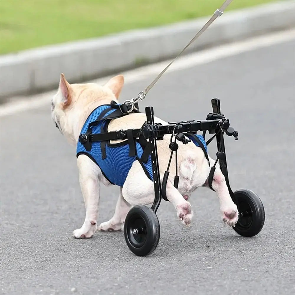 Adjustable Pet Wheelchair – Hind Leg Support Walk Booster for Disabled Dogs & Cats