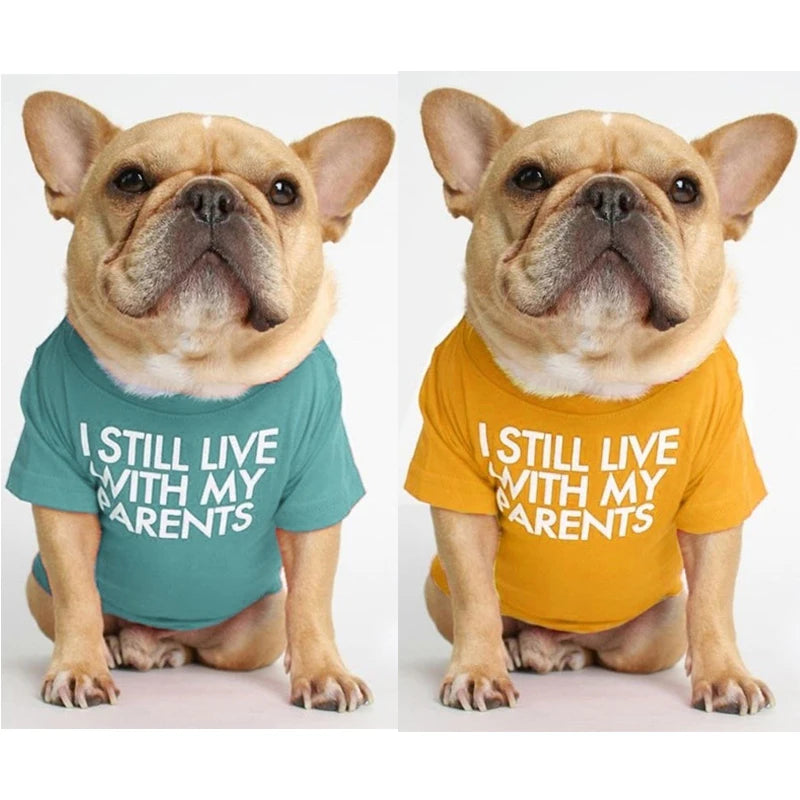 Summer Dog T-Shirt — Letter Print | Small & Medium Dogs