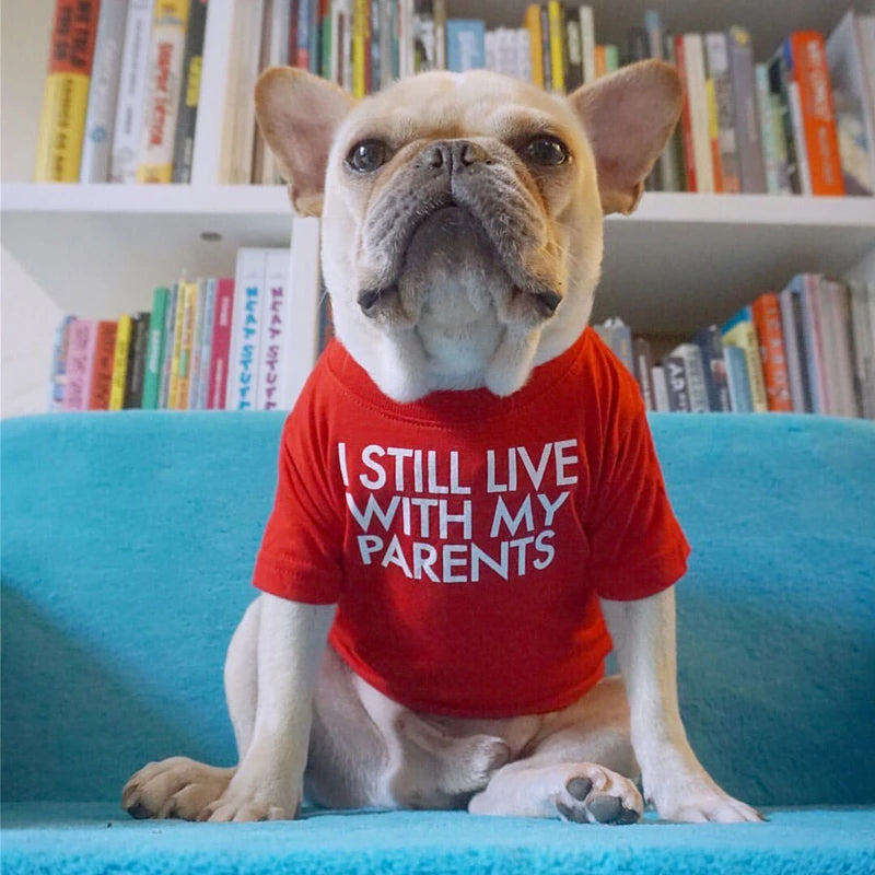 Summer Dog T-Shirt — Letter Print | Small & Medium Dogs