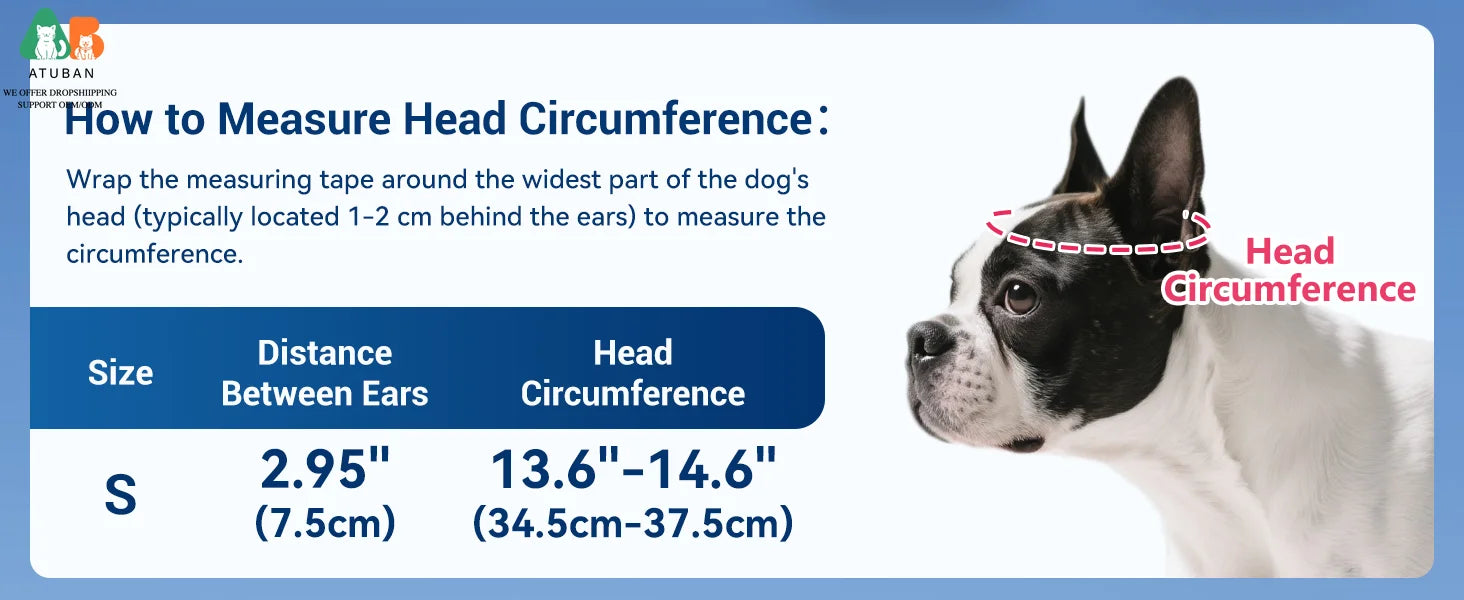 Dog Helmet with Built-In Goggles – UV & Wind Protection for Small Dogs on Bikes & Motorcycles