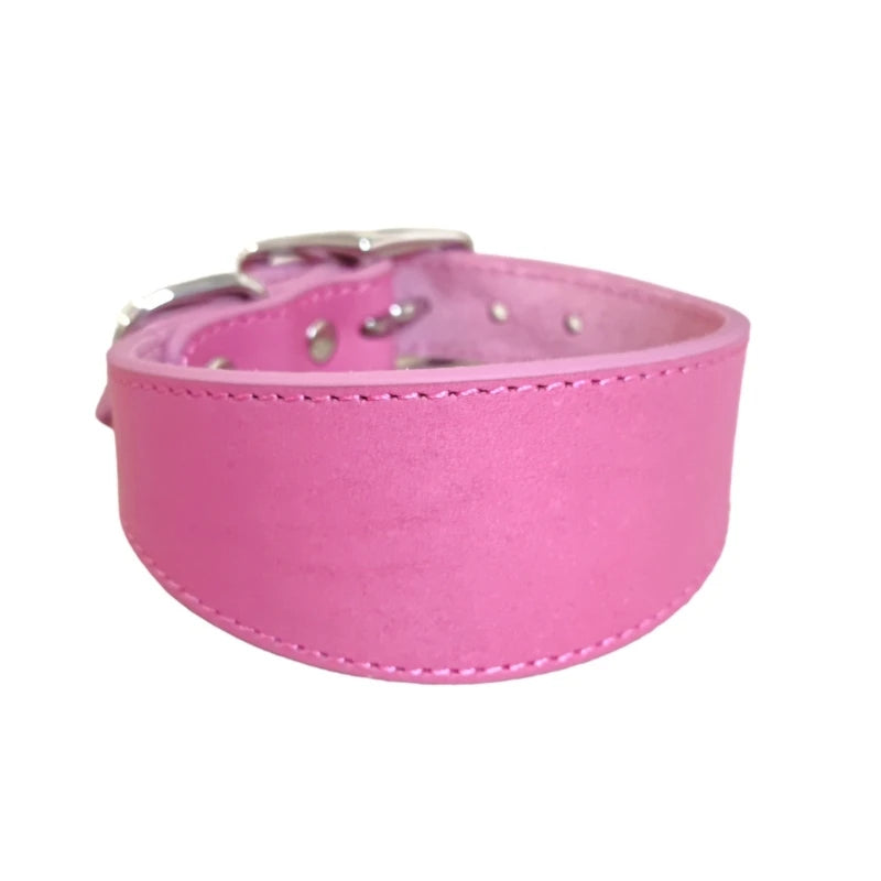 Wide Padded Leather Dog Collar | Comfortable Collar for Greyhounds, Lurchers & Sighthounds