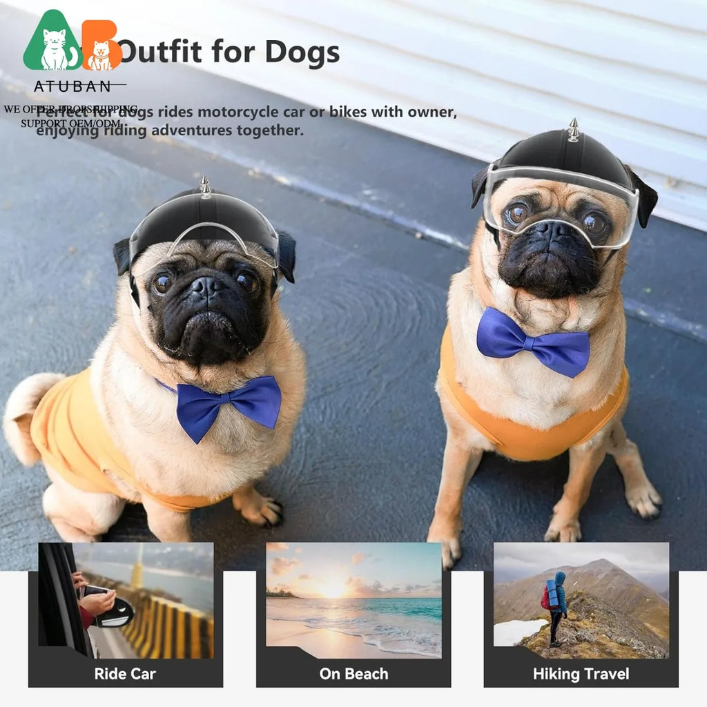 Dog Helmet with Built-In Goggles – UV & Wind Protection for Small Dogs on Bikes & Motorcycles