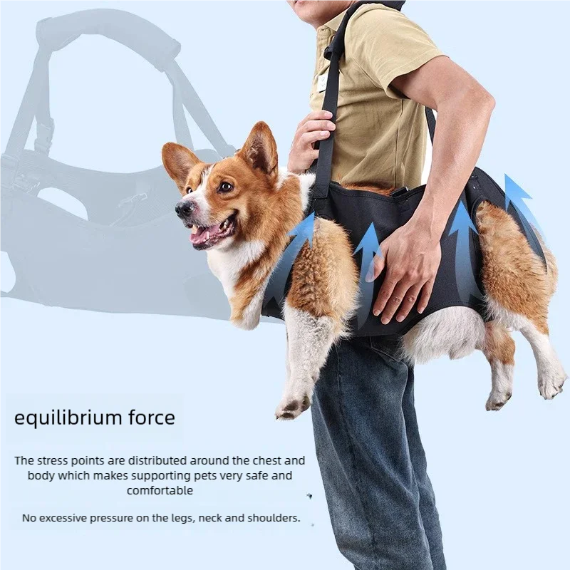 Dog Support Lift Harness – Mobility Aid for Elderly, Disabled & Post-Surgery Dogs