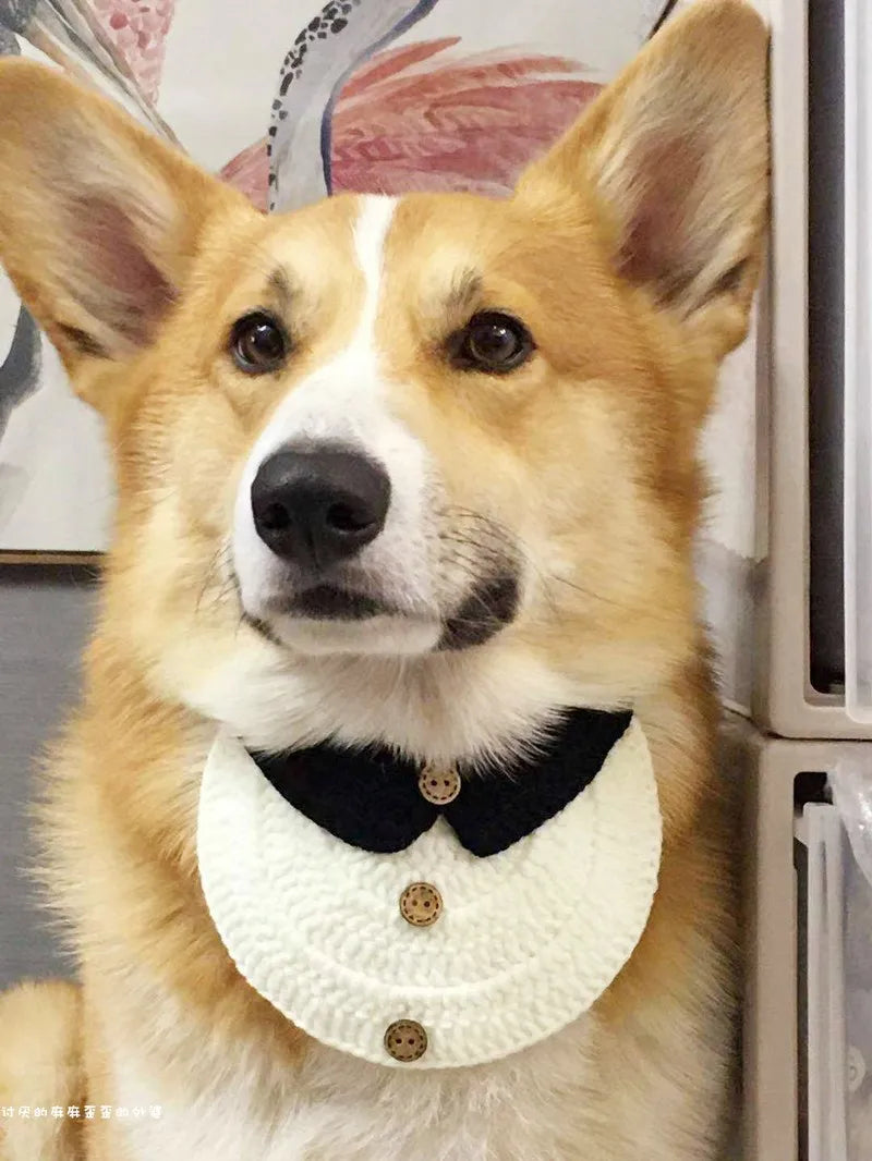 Hand-Knitted Dog Bib Scarf — Cute Cotton Collar for Small Dogs & Cats