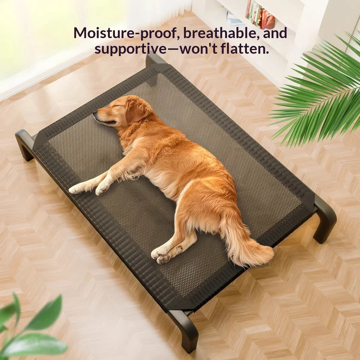 Elevated Raised Dog Cot — Waterproof Chew-Proof Outdoor & Indoor Pet Bed (S–XL)