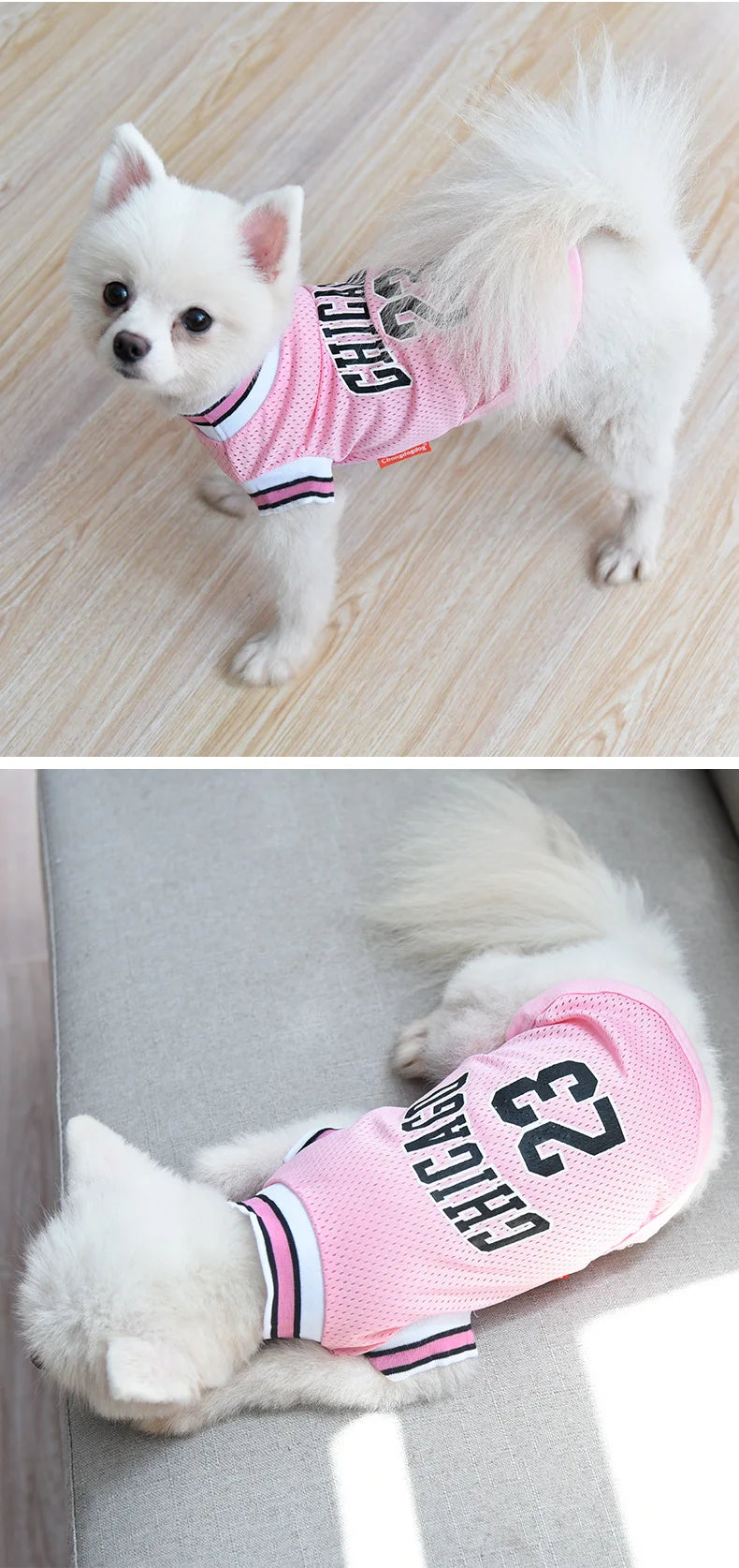 Mesh Breathable Sports Jersey for Dogs & Cats – Basketball Style Pet T-Shirt