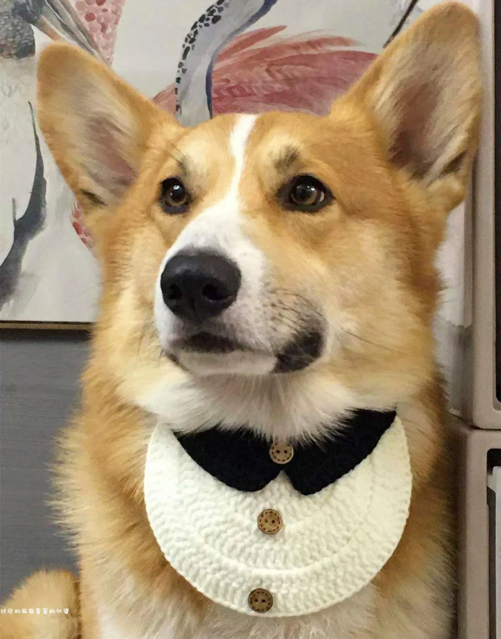 Hand-Knitted Dog Bib Scarf — Cute Cotton Collar for Small Dogs & Cats
