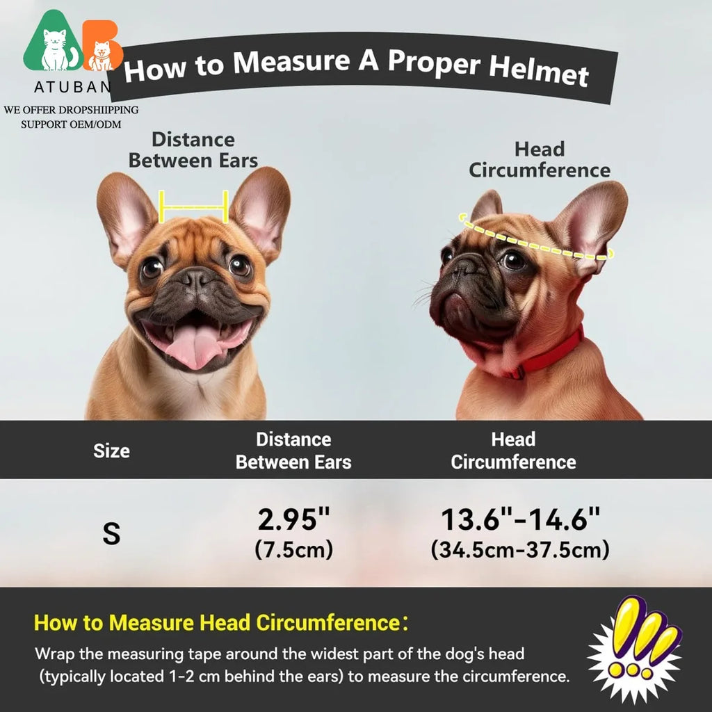 Dog Helmet with Built-In Goggles – UV & Wind Protection for Small Dogs on Bikes & Motorcycles
