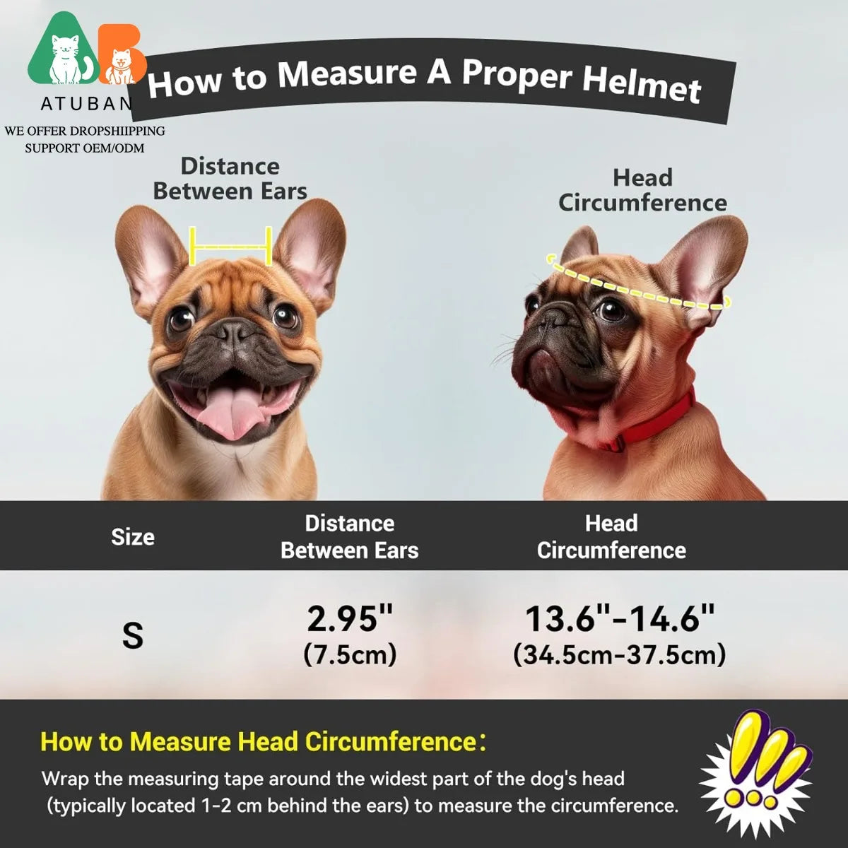 Dog Helmet with Built-In Goggles – UV & Wind Protection for Small Dogs on Bikes & Motorcycles