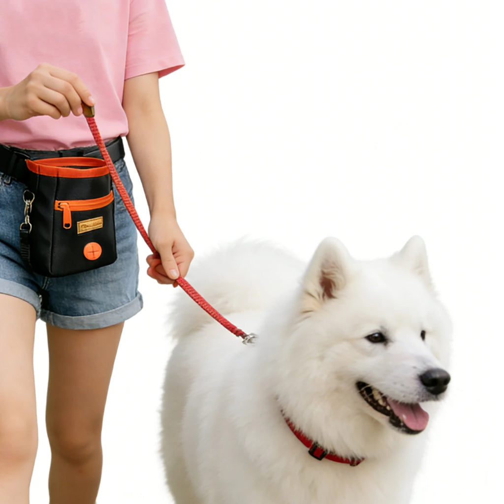 Portable Dog Treat Bag — Training Snack Pouch for Walks & Outdoor Use