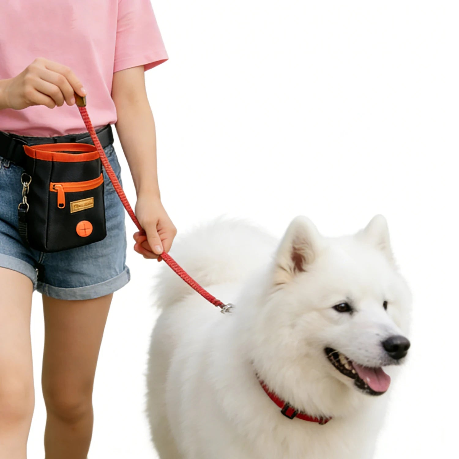 Portable Dog Treat Bag — Training Snack Pouch for Walks & Outdoor Use