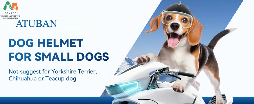 Dog Helmet with Built-In Goggles – UV & Wind Protection for Small Dogs on Bikes & Motorcycles