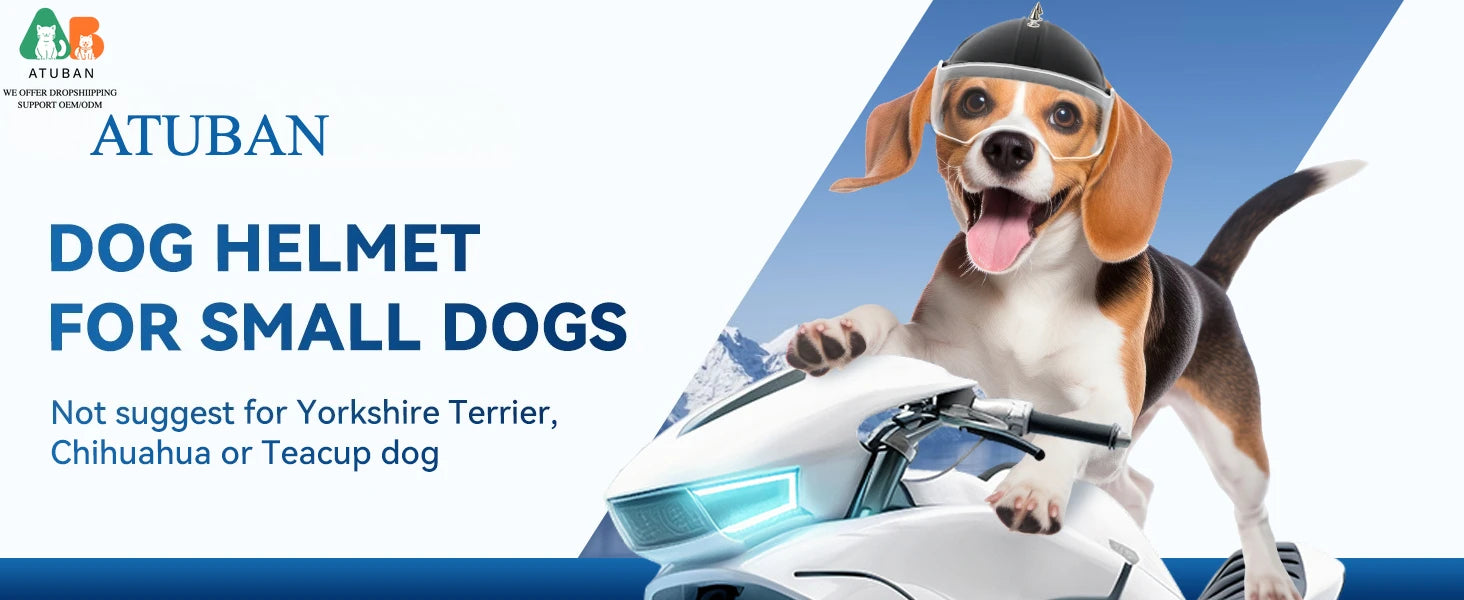 Dog Helmet with Built-In Goggles – UV & Wind Protection for Small Dogs on Bikes & Motorcycles
