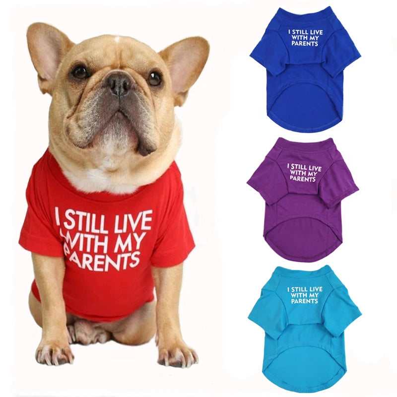 Summer Dog T-Shirt — Letter Print | Small & Medium Dogs