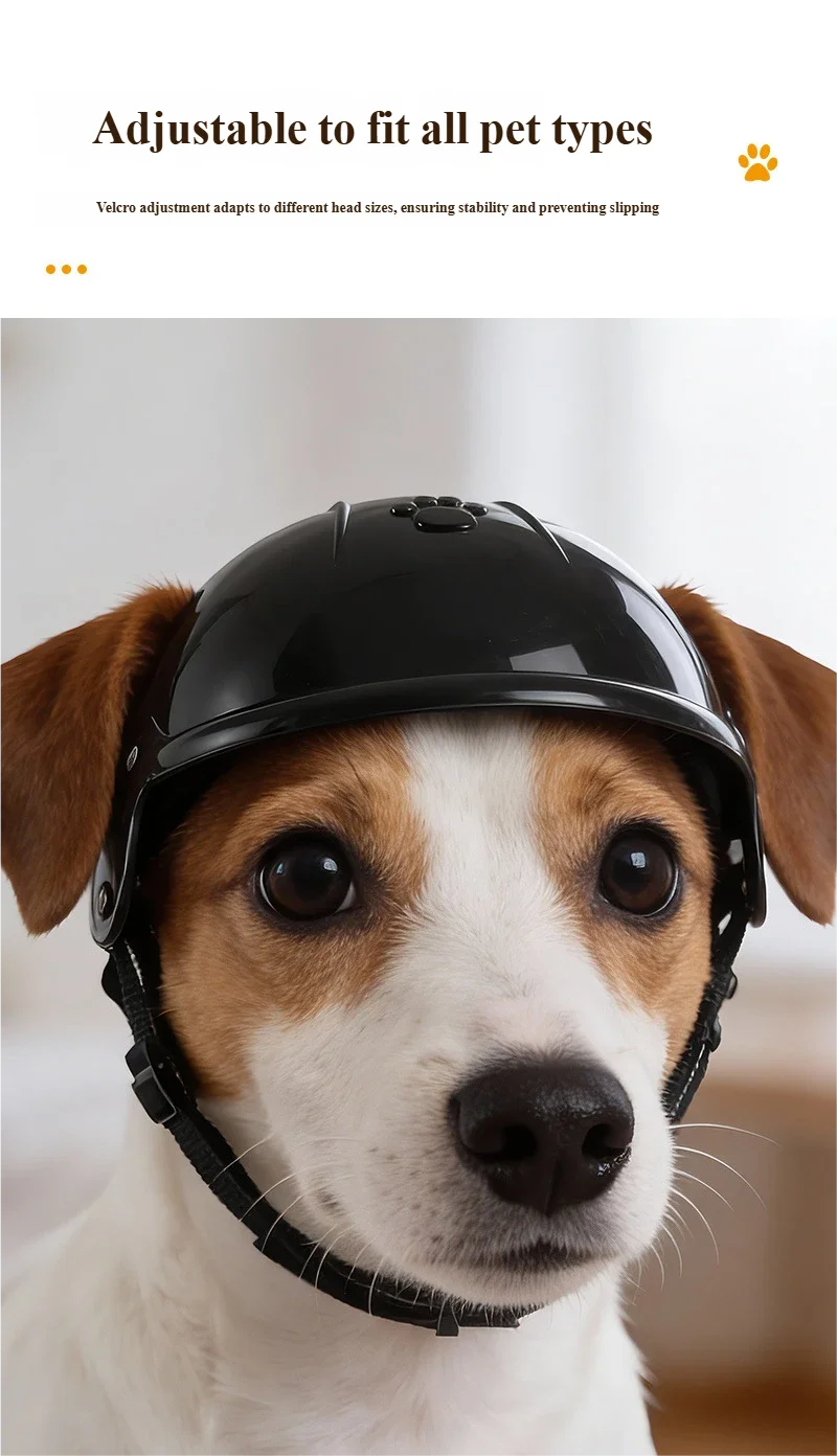 Pet Motorcycle Helmet for Dogs & Cats – Cute Outdoor Headwear Accessory