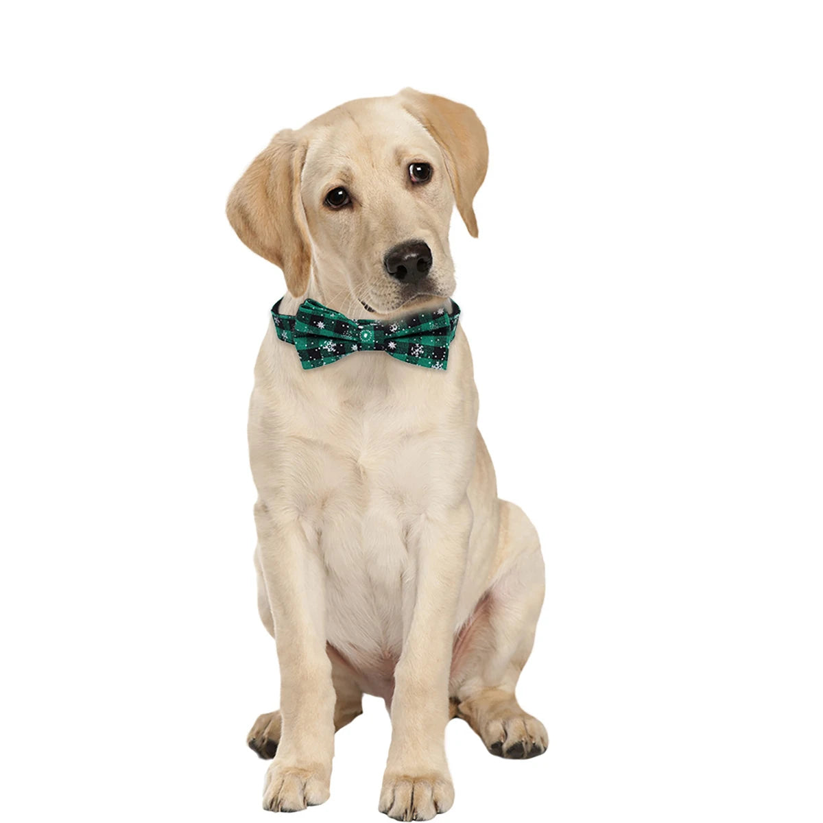 Christmas Dog Collar with Bow Tie | Plaid & Snowflake Holiday Collar for Dogs & Cats