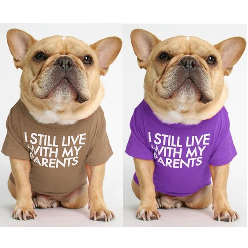 Summer Dog T-Shirt — Letter Print | Small & Medium Dogs