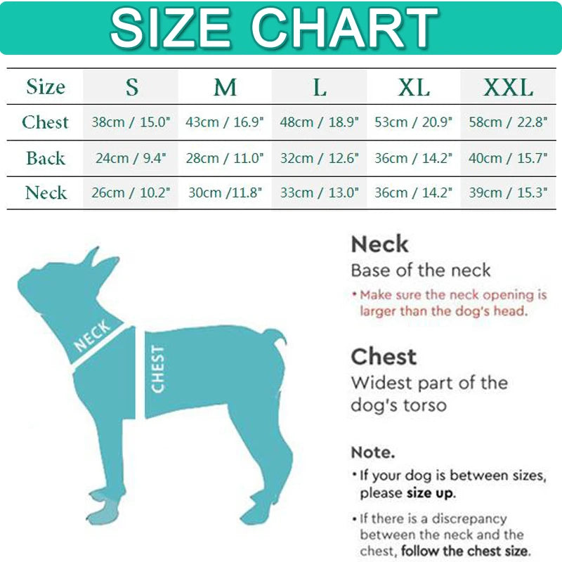 Summer Dog T-Shirt — Letter Print | Small & Medium Dogs