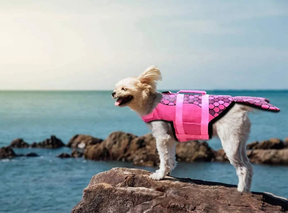 Shark Dog Life Jacket – Buoyancy Swim Vest with Rescue Handle for Dogs
