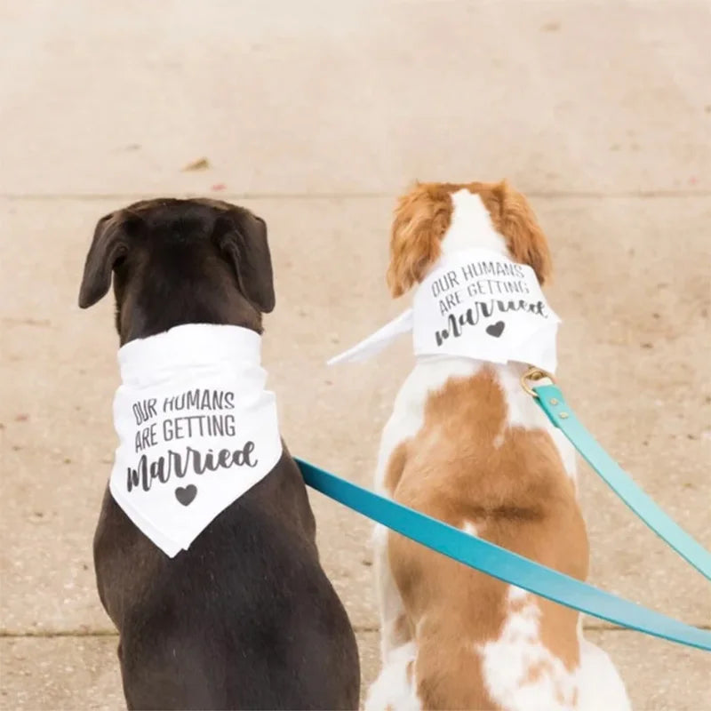 white My Humans/Our Humans Are Getting Married Dog Bandana Wedding Engagement bridal shower dog decoration Photo props gift