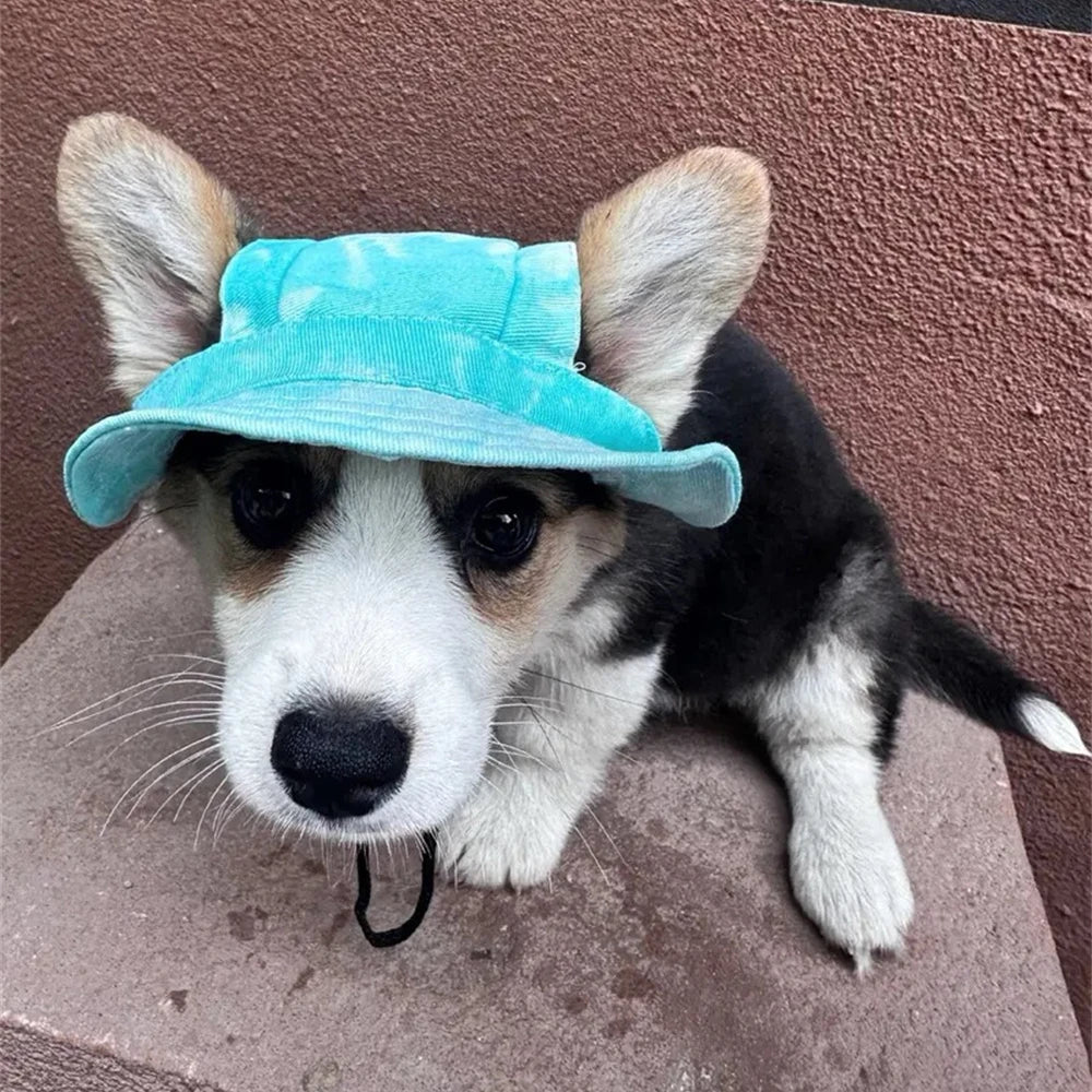 French Bulldog Pet Hat with Ear Holes | Adjustable Cap for Small & Medium Dogs