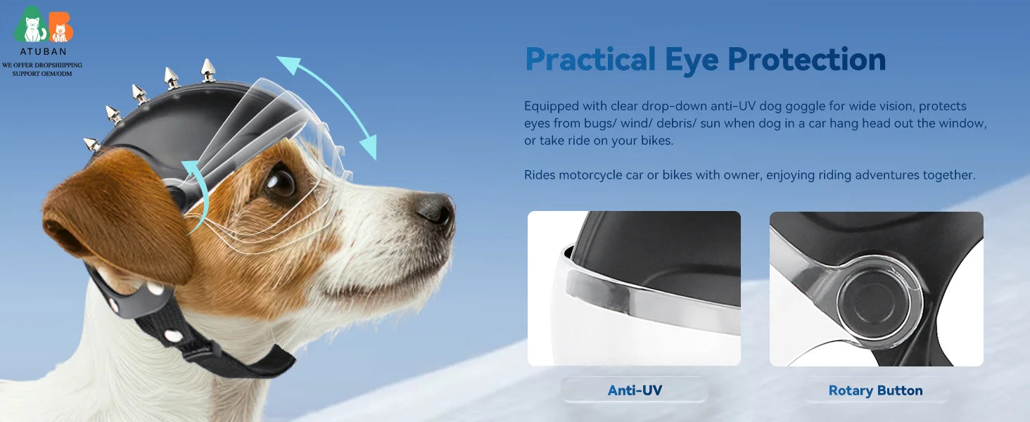 Dog Helmet with Built-In Goggles – UV & Wind Protection for Small Dogs on Bikes & Motorcycles