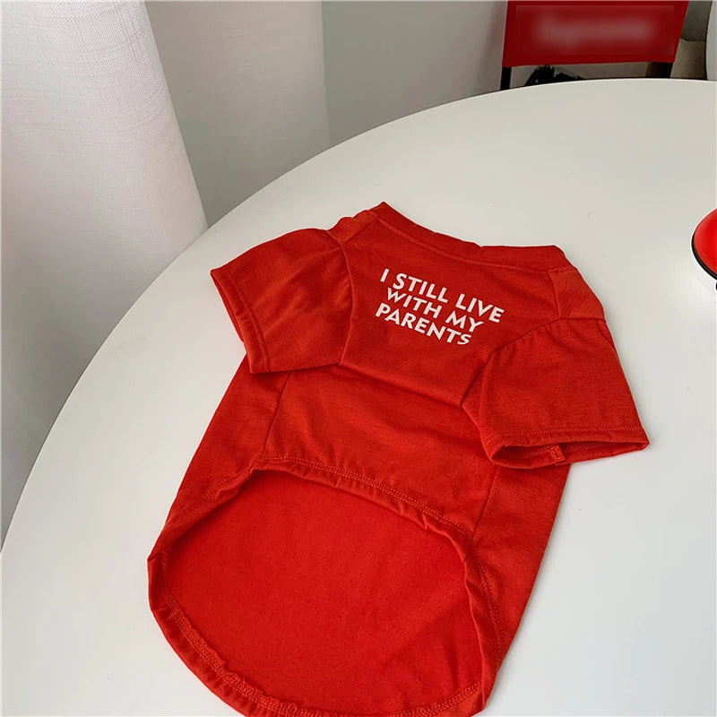 Summer Dog T-Shirt — Letter Print | Small & Medium Dogs