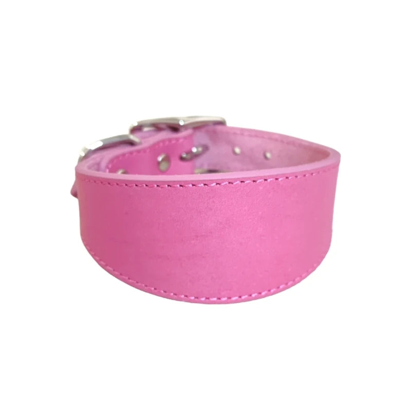 Wide Padded Leather Dog Collar | Comfortable Collar for Greyhounds, Lurchers & Sighthounds