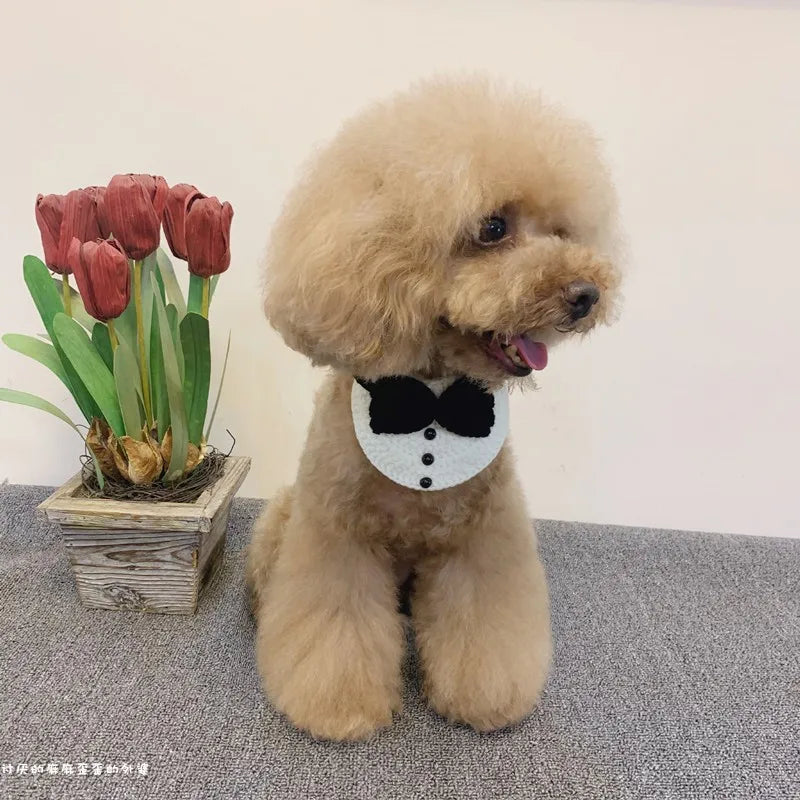 Hand-Knitted Dog Bib Scarf — Cute Cotton Collar for Small Dogs & Cats