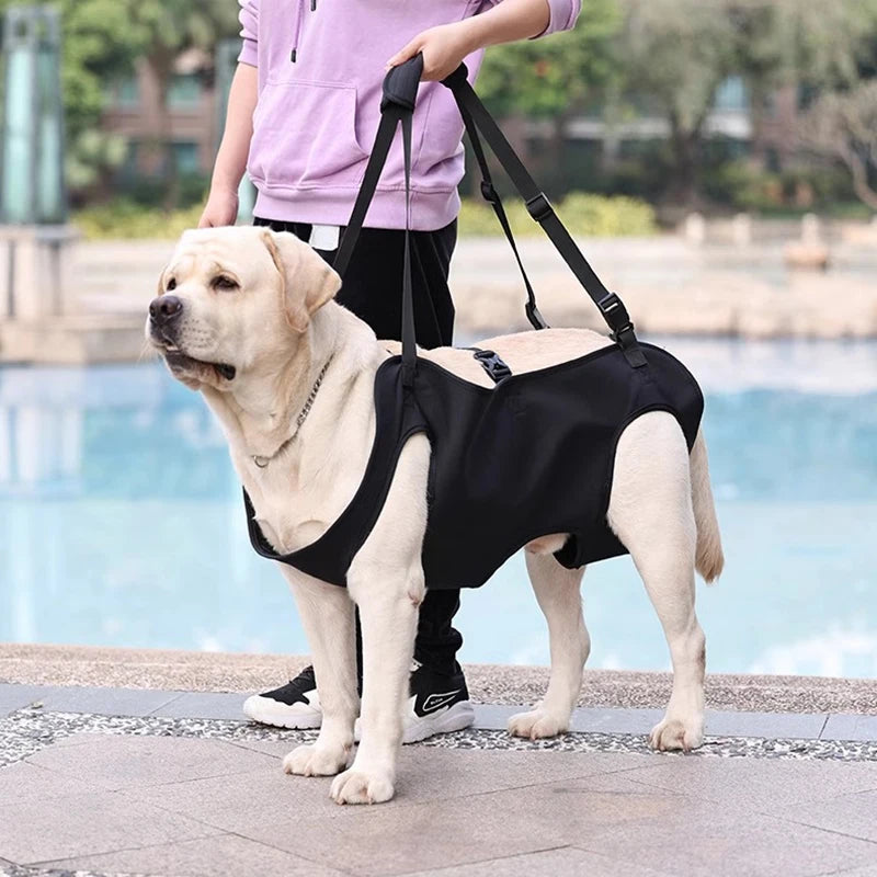 Dog Support Lift Harness – Mobility Aid for Elderly, Disabled & Post-Surgery Dogs