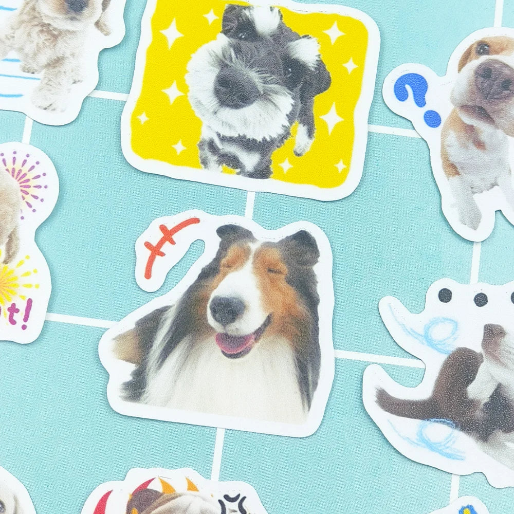 Funny Dog Sticker Pack – 40 Cute & Hilarious Dog Stickers
