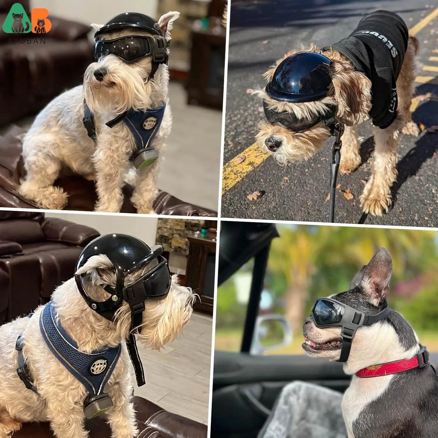 Dog Motorcycle Helmet & Goggles Set – Protective Riding Gear for Small Dogs