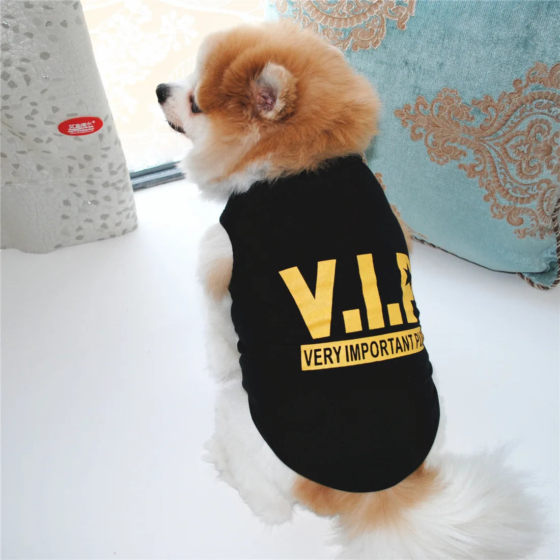 Funny Letter Print Dog Shirts for Small Dogs – Soft Breathable Summer Pet T-Shirts