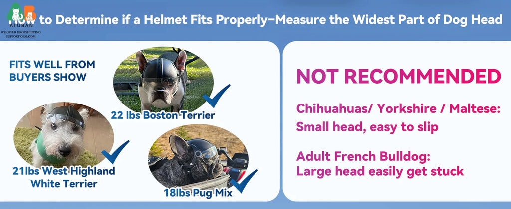 Dog Helmet with Built-In Goggles – UV & Wind Protection for Small Dogs on Bikes & Motorcycles