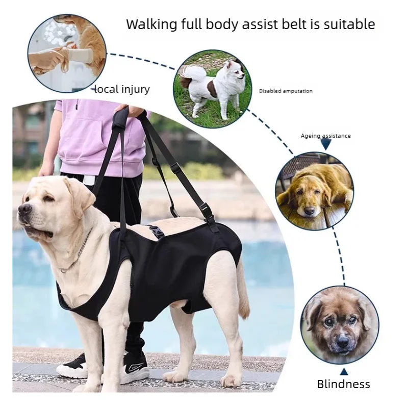 Dog Support Lift Harness – Mobility Aid for Elderly, Disabled & Post-Surgery Dogs