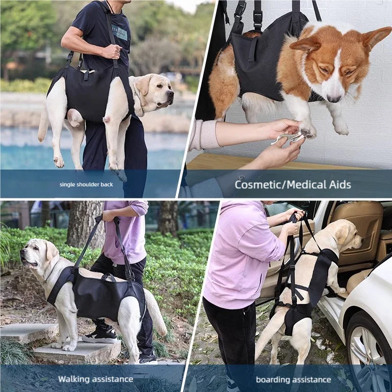 Dog Support Lift Harness – Mobility Aid for Elderly, Disabled & Post-Surgery Dogs