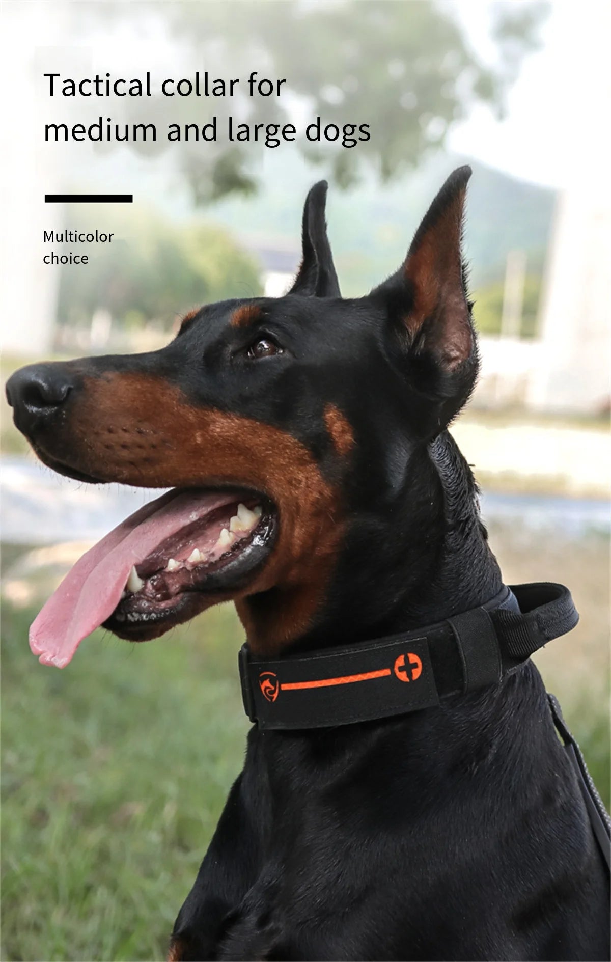 Military Tactical Dog Collar | Durable Nylon Adjustable Collar for Large Dogs