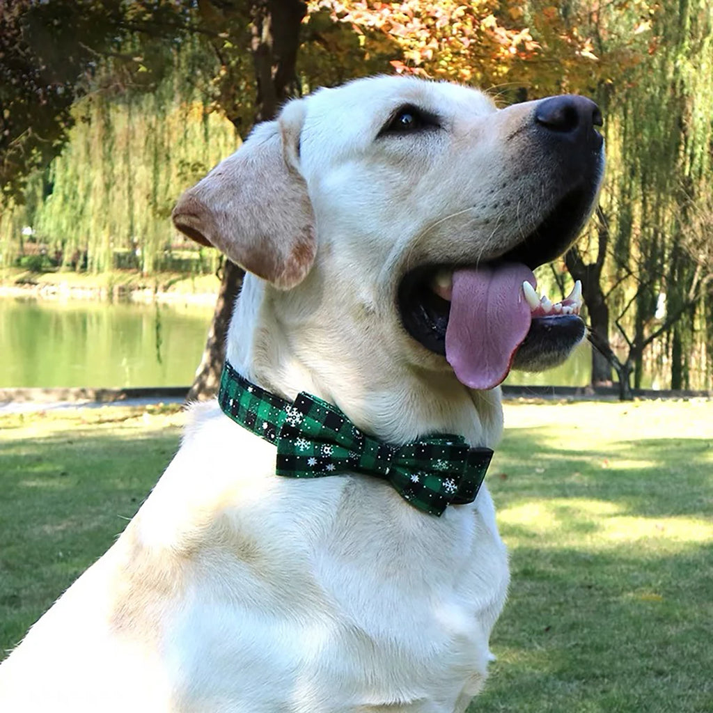 Christmas Dog Collar with Bow Tie | Plaid & Snowflake Holiday Collar for Dogs & Cats