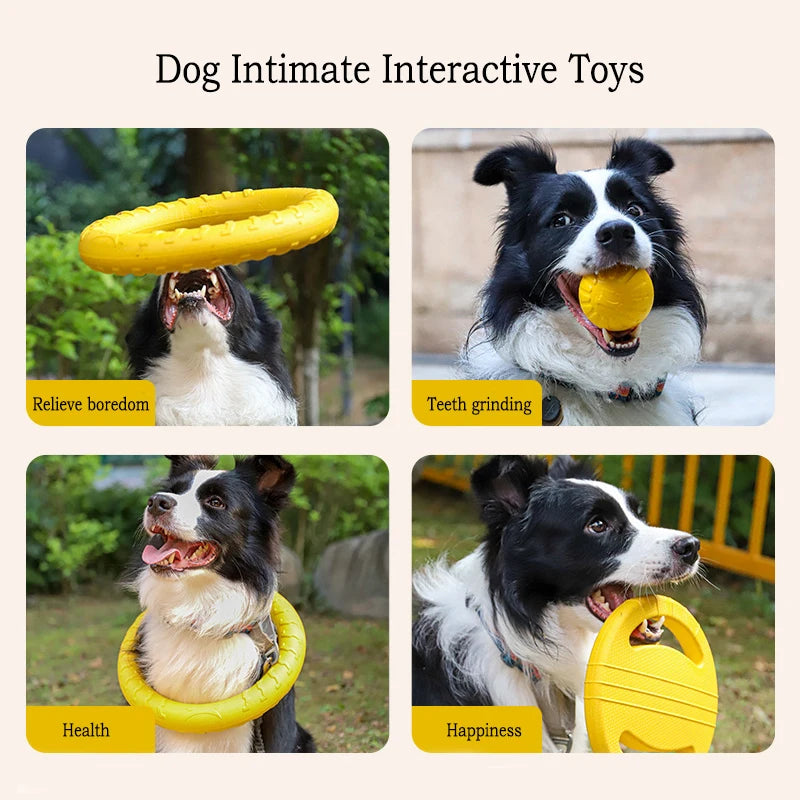 EVA Dog Toy Set – Durable Chew Toys, Ball, Tug Ring & Flying Disc for Dogs