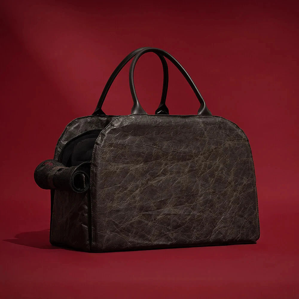 Winter Pet Carrier Bag — Windproof Warm Travel Handbag for Small Dogs & Cats