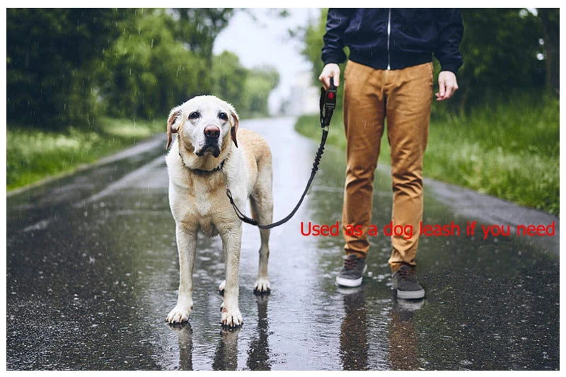 Adjustable Dog Car Seat Belt – Safety Harness Clip for Dogs & Cats